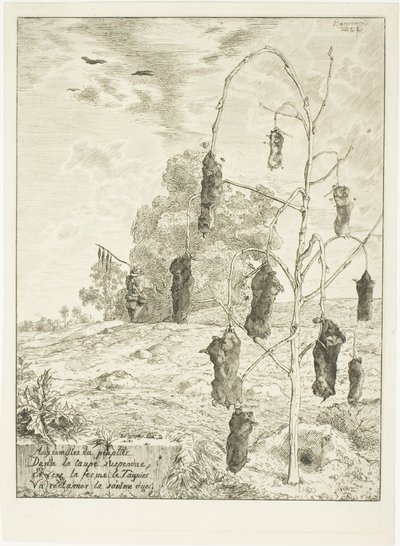  av Félix Henri Bracquemond