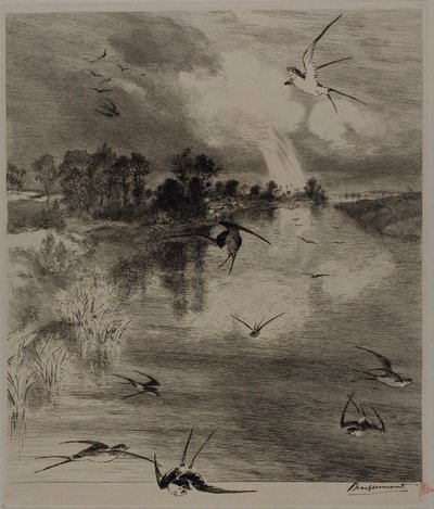  av Félix Henri Bracquemond