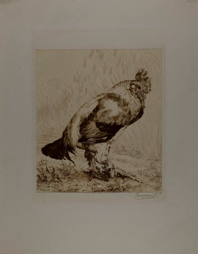  av Félix Henri Bracquemond