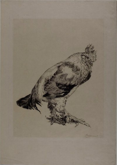  av Félix Henri Bracquemond