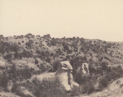Karnak Theben, Sfinx med menneskehode og ramshode, i Y, 1851-52, trykt 1853-54. av Félix Teynard