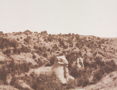 Sfinkser med et menneskehode og med et ramhode ved punkt Y. Karnak (Theben) av Félix Teynard