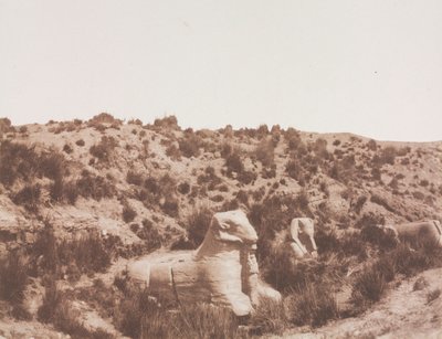 Sfinkser med et menneskehode og med et ramhode ved punkt Y. Karnak Theben, 1851-1852. av Félix Teynard