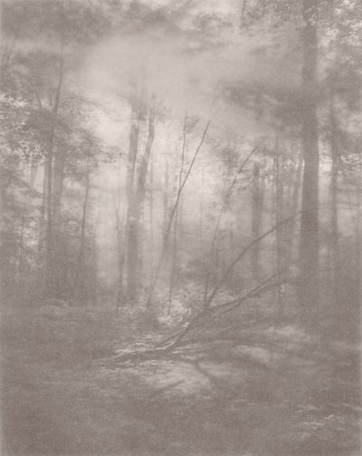  av Florent Bodart
