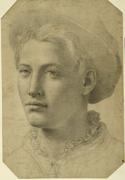 Portretthode av en ungdom med caps, ca. 1530-40 (svart kritt på hvitt papir) av Florentine School