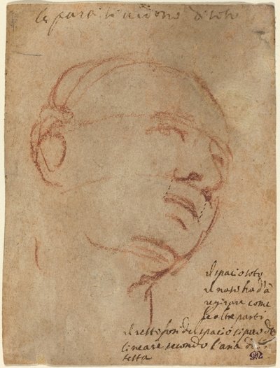 Leder av en mann av Follower of Michelangelo