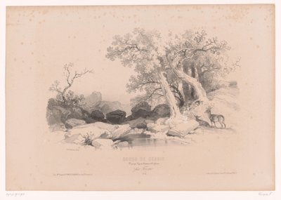 Berglandskap med vann og to rådyr Tegnekurs med studier av landskap, dyr og detaljer (serietittel) Kurs design. Paysages, figurer, animaux, tilbehør, av Férogio (serietittel på objekt) av Fortuné Ferogio