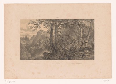 To jegere i en skog i Pyreneene Jakt i Pyreneene / Jakt i Pyreneene / Cazadores de los Pirinéos (España) (tittel på objekt) Figurer i et landskap (serietittel) av Fortuné Ferogio
