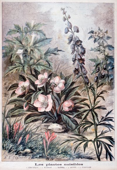 Skadelige planter, 1897 av Fortuné Méaulle