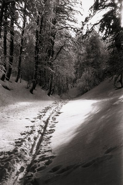  av Fosco Maraini