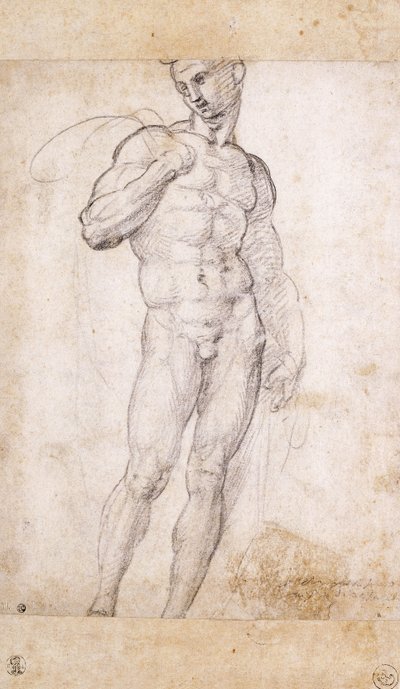 En naken som holder en kappe over skuldrene, av Fra Bartolomeo