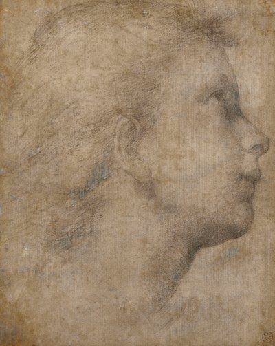 Leder av en engel i profil ser opp til høyre, av Fra Bartolomeo