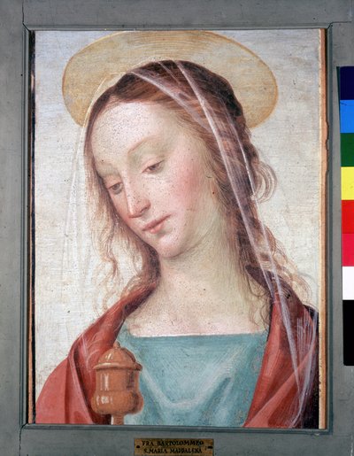Ukjent bilde av Fra Bartolomeo