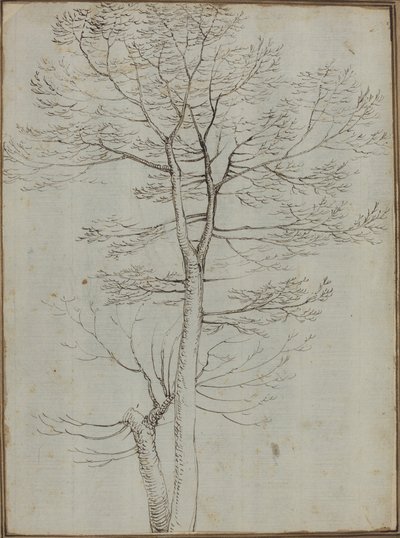 Bare tre [verso] av Fra Bartolommeo