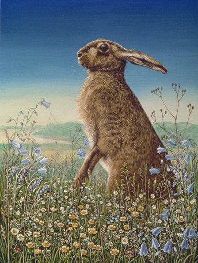 Hare, 1984 (olje og tempera på panel) av Frances Broomfield