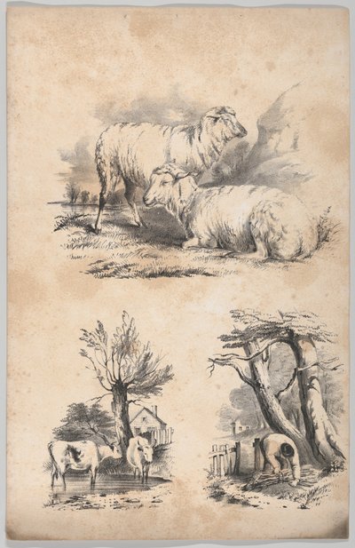 Vignette med to sauer, Vignette med to kyr i et basseng, og Vignette av en vedsanker..., 1847. av Frances Flora Bond Palmer