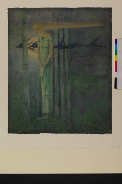"Ill Omen", eller, "Jente i østenvinden med ravner som passerer månen" 1893 av Frances Macdonald