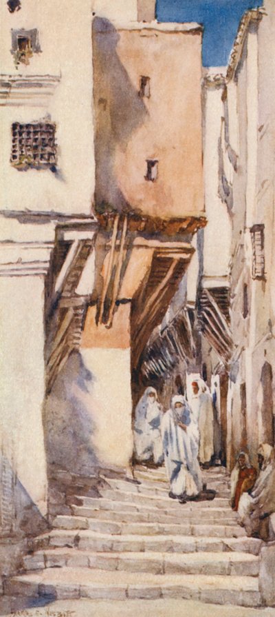  av Frances Nesbitt