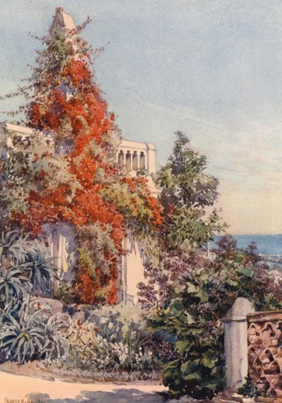  av Frances Nesbitt