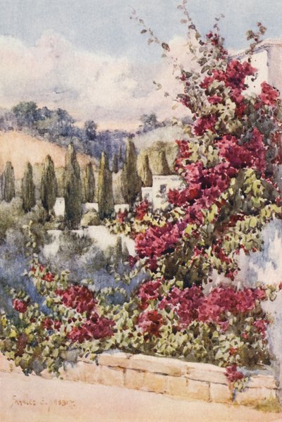  av Frances Nesbitt