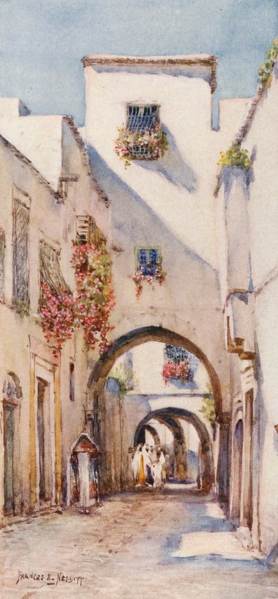  av Frances Nesbitt