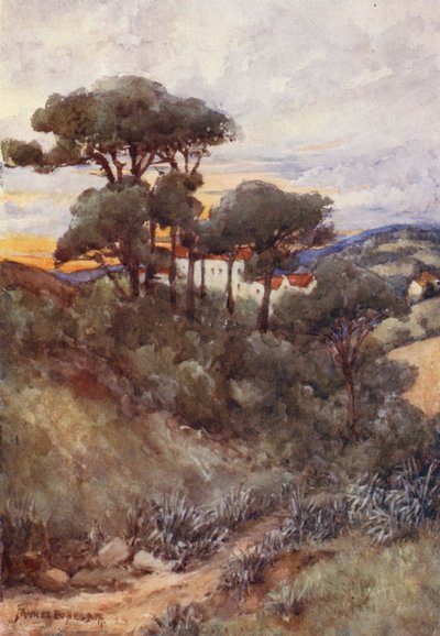  av Frances Nesbitt