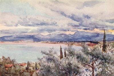  av Frances Nesbitt
