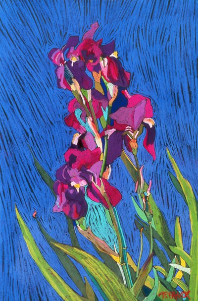 Iriser av Frances Treanor