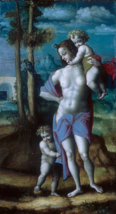  av Francesco Bacchiacca