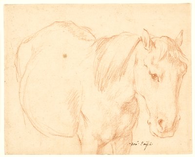 En hest av Francesco Fernandi