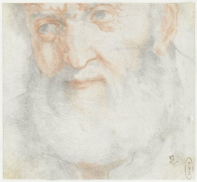 Hodet til en gammel mann med skjegg av Francesco Furini (attributed to)