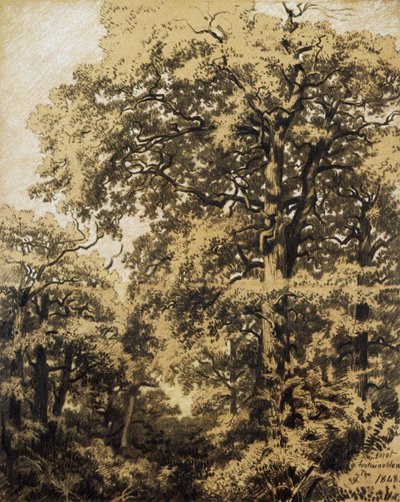 Fontainebleau-skogen av Francesco Gamba