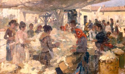 Ullselgeren av Francesco Gioli