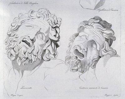 Heads of Laocoon og Centaur moriente av Canova av Francesco Hayez