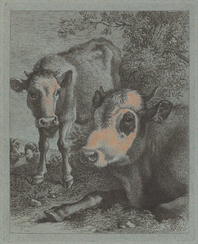 Liggende ku og kalv i det fri, 17581759. av Francesco Londonio