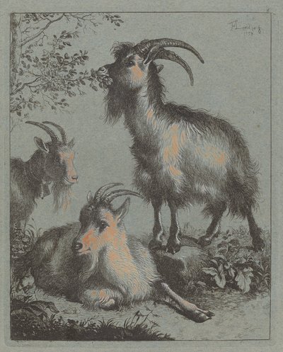 Tre geiter, 1758. av Francesco Londonio
