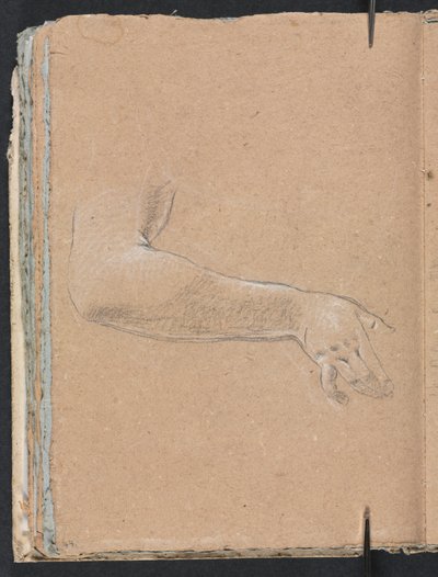 Verona Sketchbook: Kvinnelig høyre arm og hånd (side 44) av Francesco Lorenzi