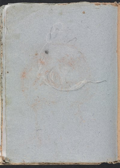 Verona Sketchbook: Head (side 30) av Francesco Lorenzi