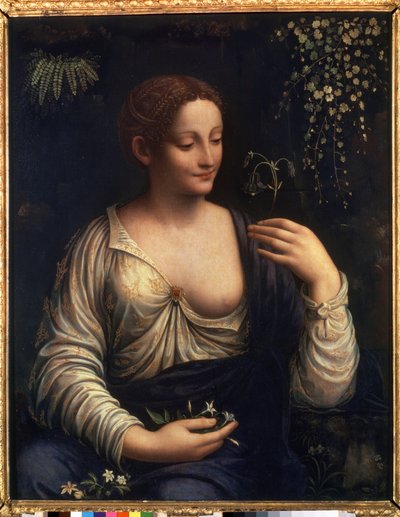 ""Flore"" (Flora) Maleri av Francesco Melzi (1493-cirka 1570) 1510-1515 Dim. 76x63 cm Saint Petersburg Eremitage Museum av Francesco Melzi or Melzo