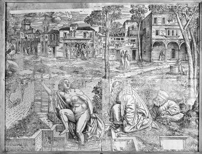 transfigurasjoner. av Francesco Pozzi