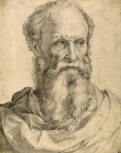 Hode og skuldre av en skjeggete mann av Francesco Salviati