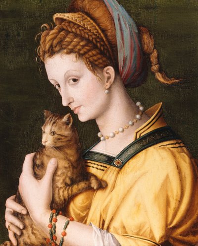 Lady With A Cat, ca. 1525-30 av Francesco Ubertini Bacchiacca