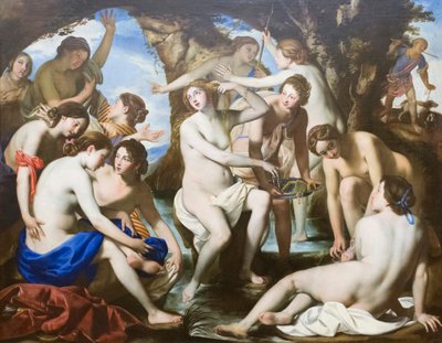 Das Bad der Diana von Francesco de (c.1600-54) Rosa