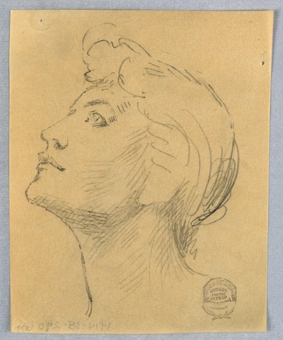 Hodet til en kvinne av Francis Augustus Lathrop