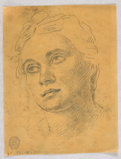 Hodet til en kvinne av Francis Augustus Lathrop