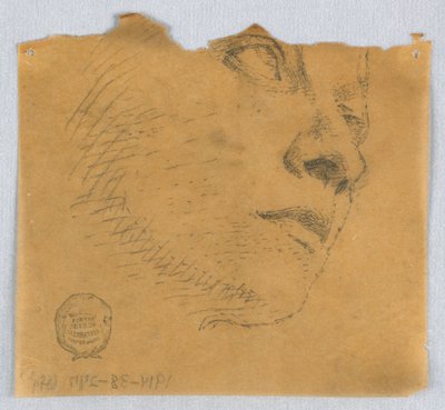 Delvis skisse av et ansikt av Francis Augustus Lathrop