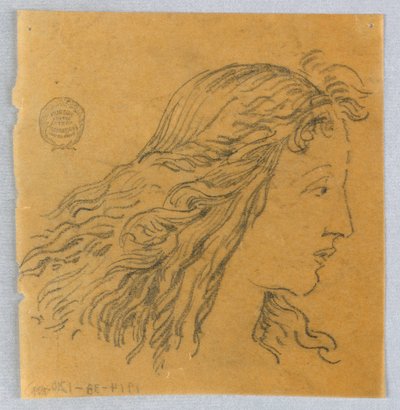 Skisse av kvinnens hode i profil av Francis Augustus Lathrop