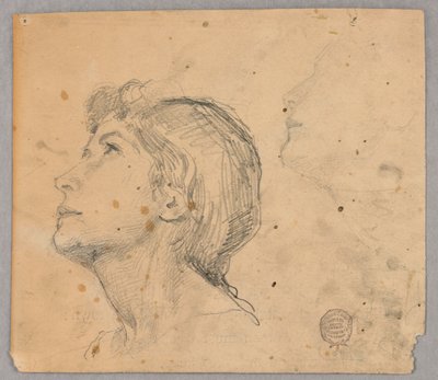 Skisse av et kvinnehode av Francis Augustus Lathrop