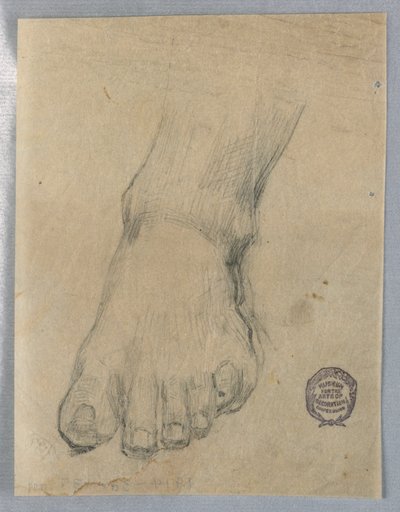 Studer for en fot av Francis Augustus Lathrop