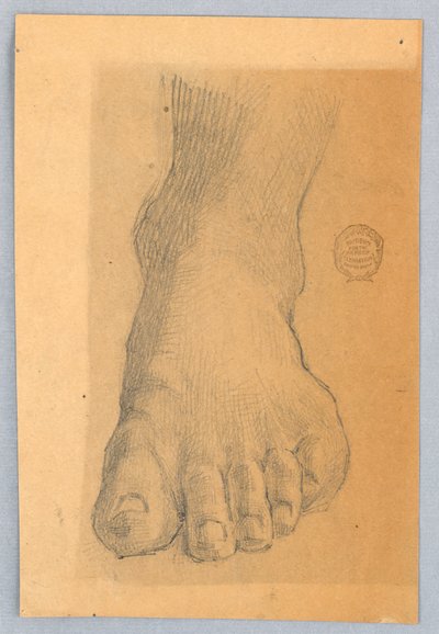 Studie av venstre fot av Francis Augustus Lathrop